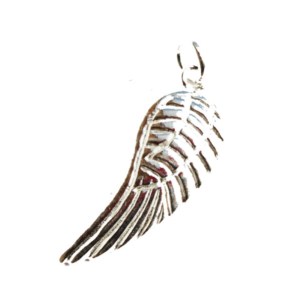 Silver Charms